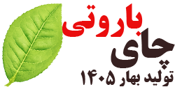 چای سیاه باروتی بهاره