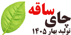 چوب چای بهاره