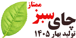 چای سبز ممتاز بهاره