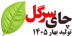 چای سیاه سرگل بهاره